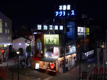 30 Minute Travel Cinematic System